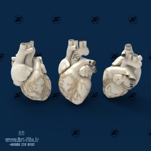 فروش فایل سه بعدی قلب  A8